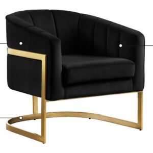 Carter Velvet Upholstered Accent Chair